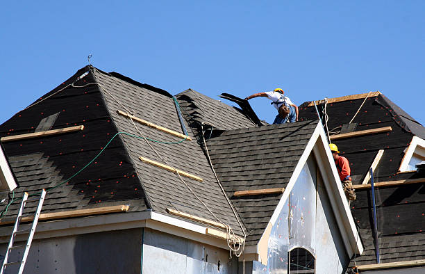 Best Roof Gutter Cleaning  in Louisa, VA