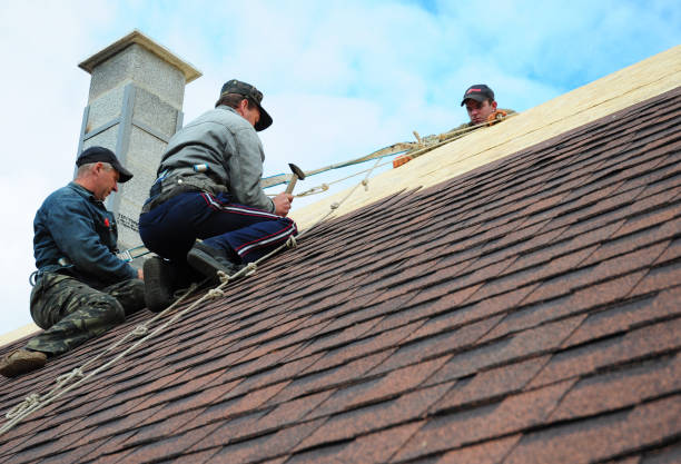 Quick and Trustworthy Emergency Roof Repair Services in Louisa, VA